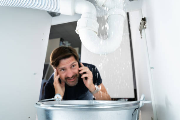 Best Local Plumber Services  in Punaluu, HI