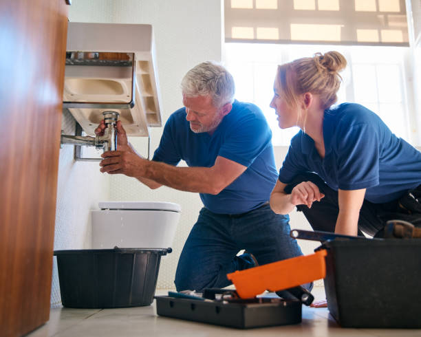 Best Leak Detection Services  in Punaluu, HI